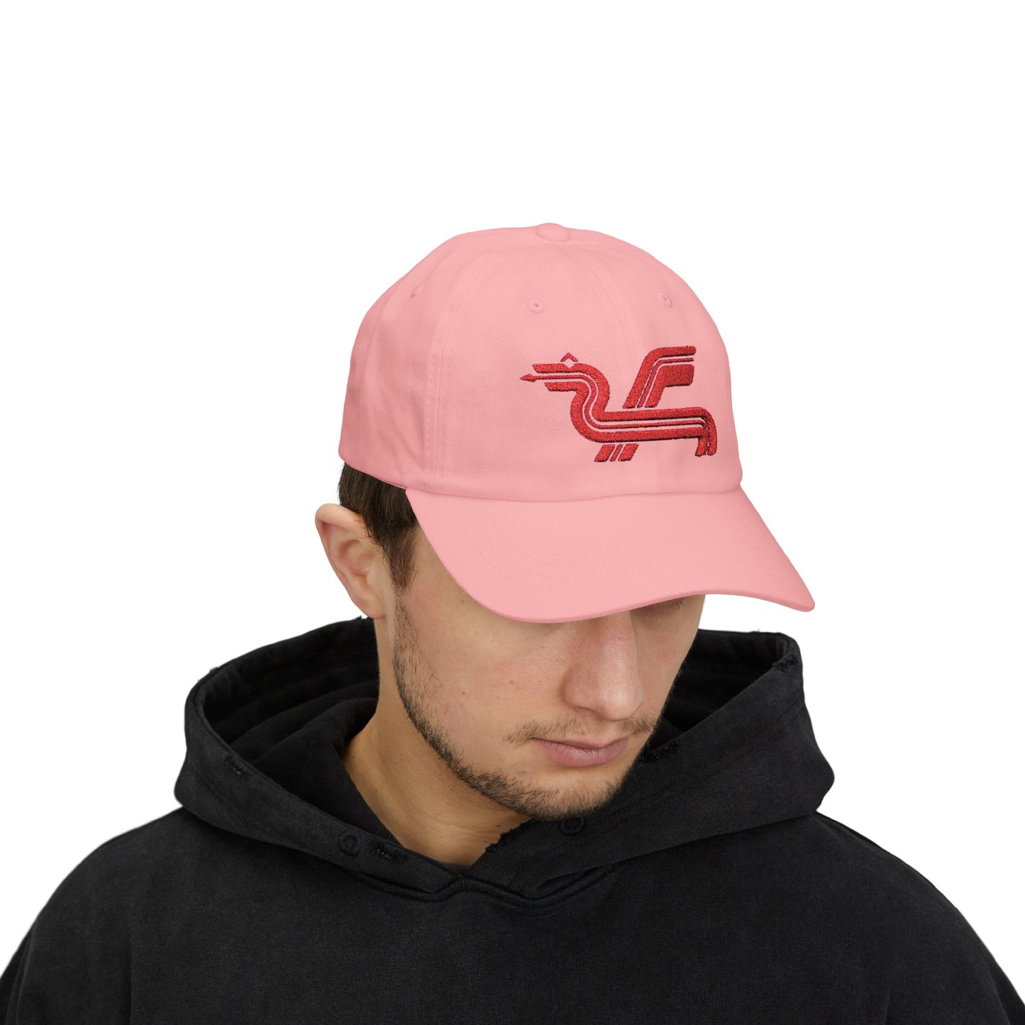 Dragon Computers Cap with Retro Red Winged Snake Logo - Vintage Athletic Baseball Hat