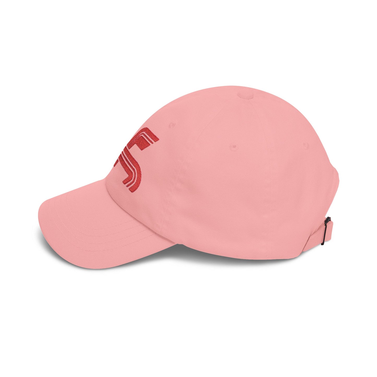 Dragon Computers Cap with Retro Red Winged Snake Logo - Vintage Athletic Baseball Hat