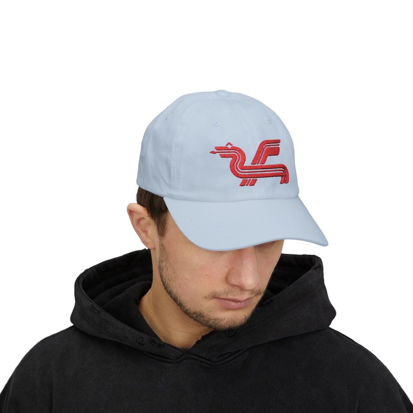 Dragon Computers Cap with Retro Red Winged Snake Logo - Vintage Athletic Baseball Hat