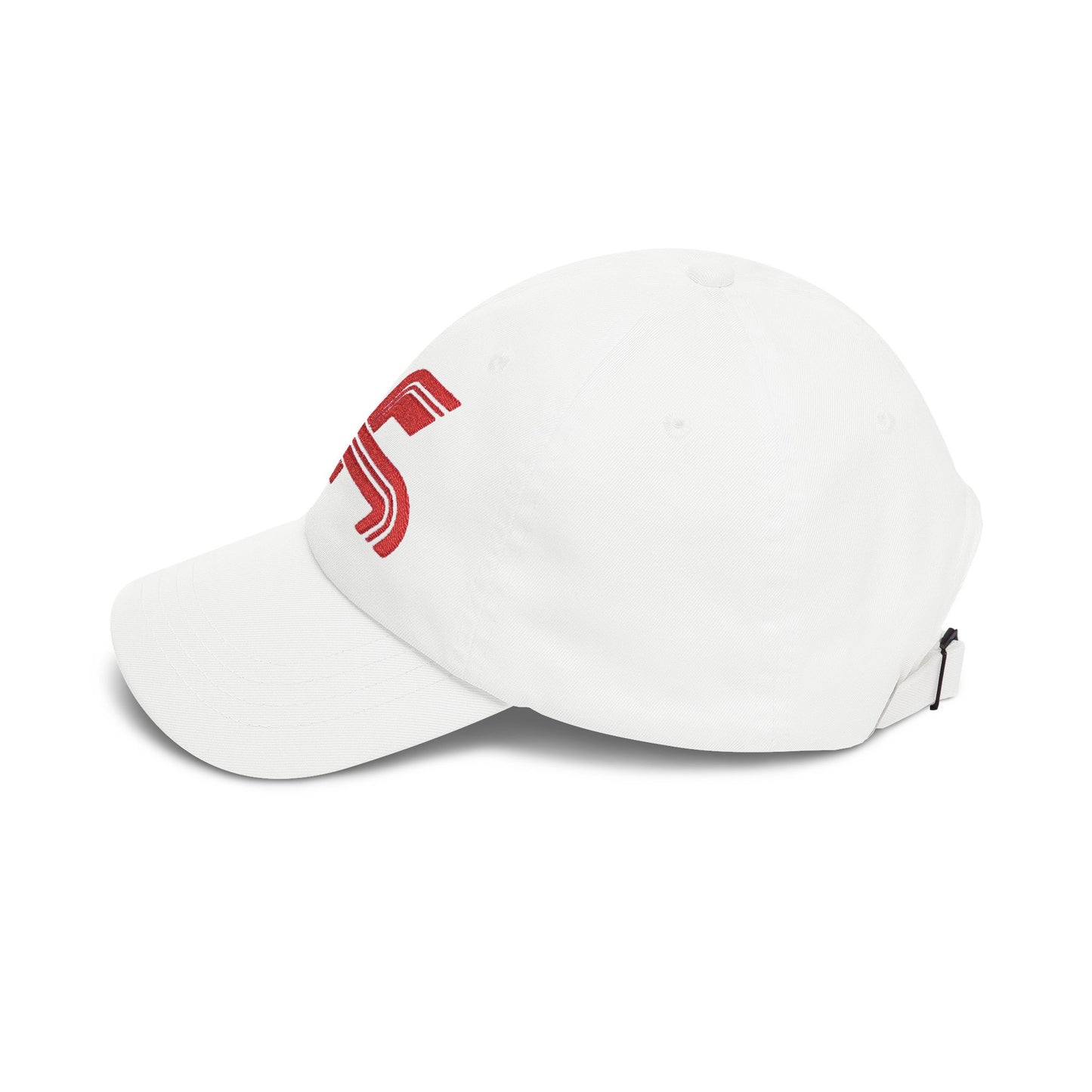 Dragon Computers Cap with Retro Red Winged Snake Logo - Vintage Athletic Baseball Hat