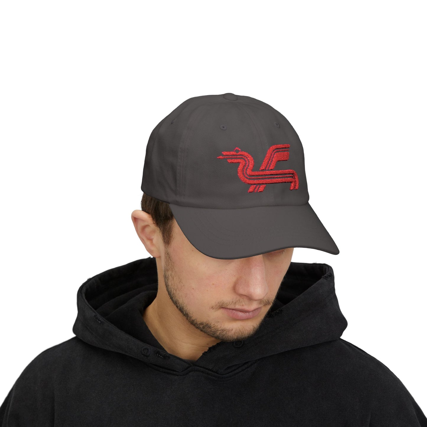 Dragon Computers Cap with Retro Red Winged Snake Logo - Vintage Athletic Baseball Hat