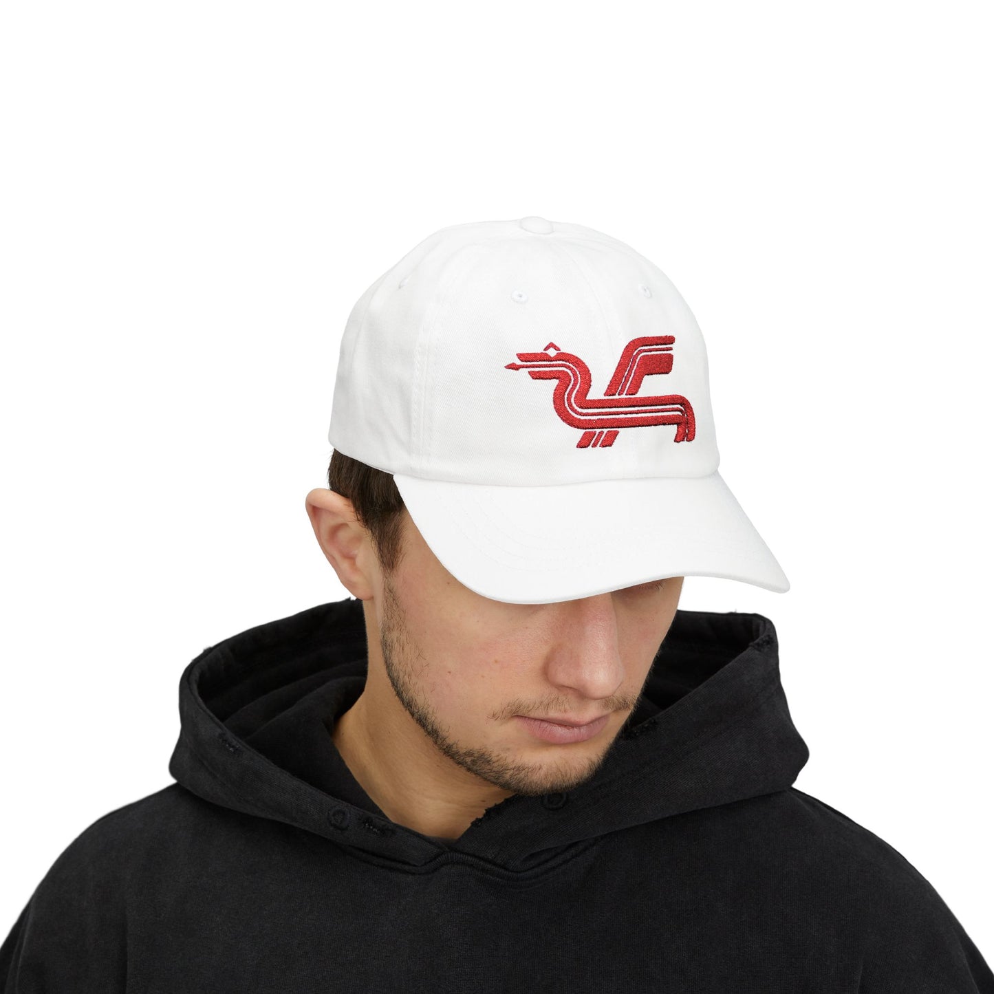 Dragon Computers Cap with Retro Red Winged Snake Logo - Vintage Athletic Baseball Hat