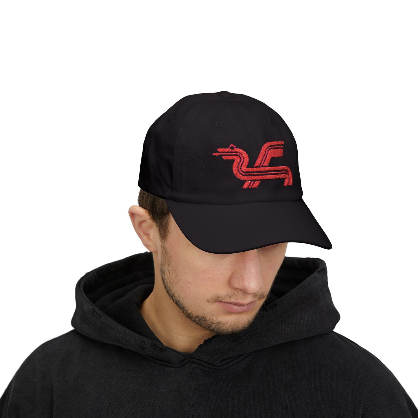 Dragon Computers Cap with Retro Red Winged Snake Logo - Vintage Athletic Baseball Hat
