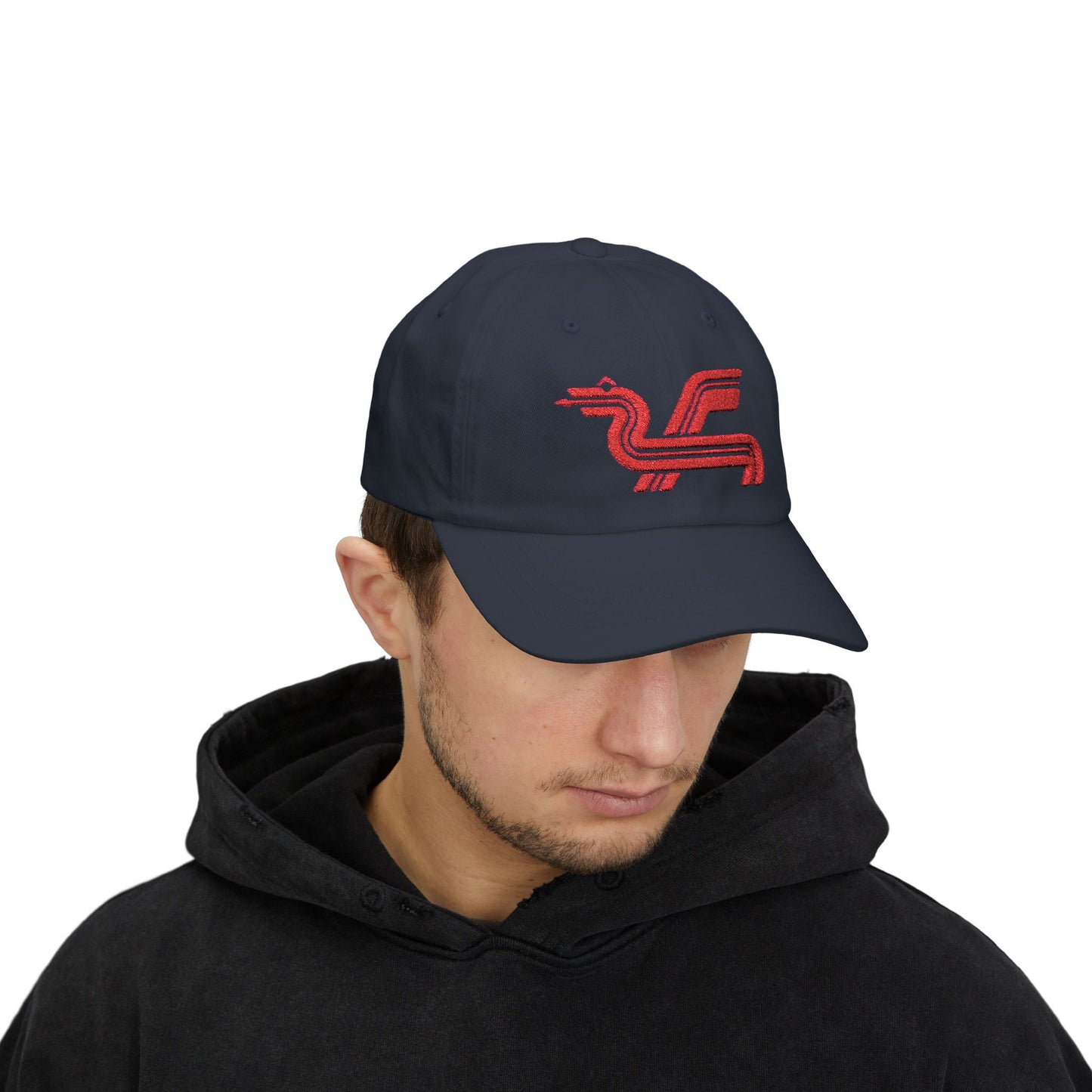 Dragon Computers Cap with Retro Red Winged Snake Logo - Vintage Athletic Baseball Hat